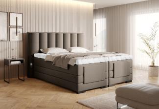 Veros 180x200, Boxspring Bett, Beige