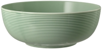 Seltmann Weiden Schale Seltmann Weiden Beat Salbeigrün Foodbowl 20 cm, Porzellan, (1 Foodbowl)