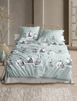 Irisette Biber Bettwäsche Panda 155x220 Pinguine Sterne salbei grau 8645-20