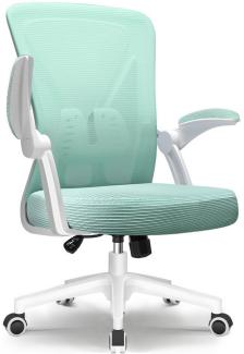 Lexzurn Bürostuhl Bürostuhl ergonomisch, Chefsessel Drehstuhl mit Lendenwirbelstütze (Computerstuhl Home Office Chair), Höhenverstellbarer Netzstuhl mit Klappbare Armlehnen