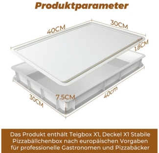 GLIESE Aufbewahrungsbox 30 x 40 x 7,5 cm Pizzaballenbox mit Deckel (Set, 1 St, 1-tlg), Für 6 Teiglinge ausgelegt