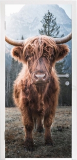 MuchoWow Türtapete Schottischer Hochländer - Kuh - Tiere - Berg - Natur, Matt, bedruckt, (1 St), Selbstklebende Tapete, Folie für Möbel, 75x205 cm