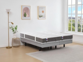 Dekoratives Bett mit elektrischer Relaxfunktion + 3-Zonen-Matratze aus 100 % Latex - 2 x 90 x 200 cm - Stoff - Grau - PANISOLA von DREAMEA