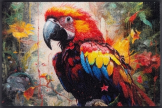 Parry McParrot