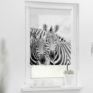 Lichtblick Motiv Rollo 150x45 cm (LxB) Zebra