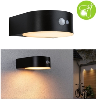 Paulmann 94730 Solar LED Außenwandleuchte Eileen mit Bewegungsmelder