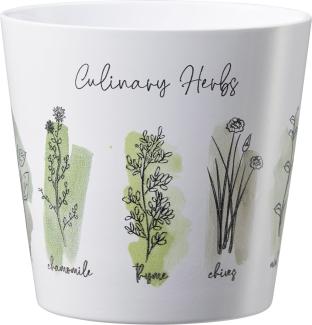 Scheurich Übertopf Culinary Herbs Ø 14 x 13,2 cm weiß-grün