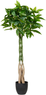 Kunstpflanze PACHIRA TREE 120 cm Grün