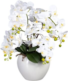 Kunstorchidee Phalaenopsis im Keramiktopf Orchidee Phalaenopsis, Creativ green, Höhe 56 cm