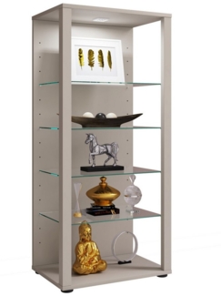 VCM Standvitrine Glasol 918632 Silber H. 115 x B. 52 x T. 35 cm