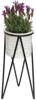 DanDiBo Blumenhocker mit Topf Metall Schwarz Weiß S 50 cm Blumenständer 96043 Blumensäule Modern Pflanzenständer Pflanzenhocker