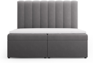 Micadoni Boxspringbett Kelp Samt Grau 160x200