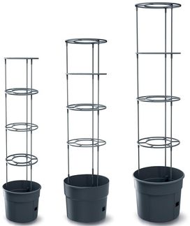 Prosperplast Pflanzkübel IPOM300-S433, Topf für Tomatenpflanze 12L Tomatenzüchter