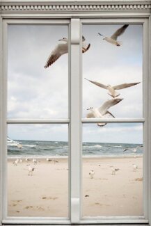 queence Wandsticker Möwen am Strand, Wandsticker, Wandbild, selbstklebend, 3D, Fenster