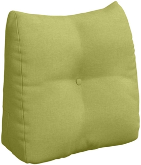 vidaXL Rücken Kissen Hellgrün 45 x 24 x 50 cm Stoff 42014364