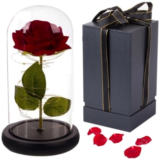 VERK GROUP Geschenkbox Ewige Rose im Glas Rose Geschenke für Frauen