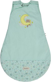 Sterntaler Babyschlafsack 62/68 cm Bär Bo, Polycotton-Schlafsack mit Stickerei, Hydrocool Futter, leichter Wattierung, Zwei-Wege-Reißverschluss, Mesheinsatz, mintgrün, 1,50 TOG, Größe 68