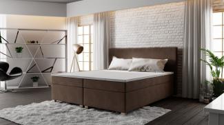 Boxspringbett OLIVER 140x200 cm Braun