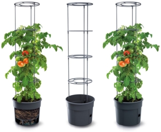 KAGM Pflanzkübel Blumenkübel Rankhilfe Blumentopf für Tomaten Tomatentopf 3er SET 28L (Tomatentopf, Rankhilfe)