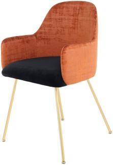 Stuhl Richard 525 Terra / Braun / Schwarz