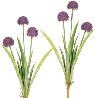 Kunstblume Vivian Allium, my home, Höhe 60 cm, 2er Set