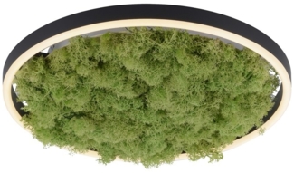 JUST LIGHT 15391-66 GREEN RITUS LED Deckenleuchte Moos 40cm