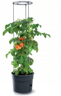 Tomatentopf aus Kunststoff anthrazit