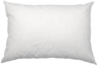 Kissenfüllung Füllkissen Kissen Inlett 40x60cm Daunenfüllung Ib Laursen 6472 00