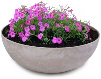 matches21 HOME & HOBBY Blumentopf Runde bauchige 20 cm Pflanzschale für draussen, sand marmoriert (1 St), Wetterfeste Blumen-Schale als moderne Gartendeko Grabschmuck