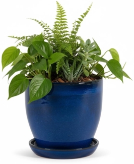 Blumentopf aus Keramik Modell "EggPot" 27cm Royal Blau mit Teller