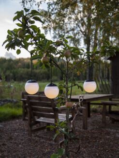 LED-Solar-Kugel "Globus", 3er Set, weiß, je Ø 10cm