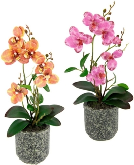 Kunstpflanze Orchidee, I.GE.A, Höhe 38 cm, Mit Blättern und Luftwurzeln, im Topf aus Keramik, 2er Set
