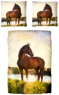 Traumschloss Bettwäsche TS Edition, Baumwolle, 2 teilig, Pferd im Sonnenaufgang