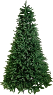 Weihnachtsbaum Calgary Farbe: Grün, Größe: 250 cm H x 165 cm Ø