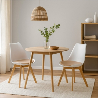 HTI-Living Esszimmerstuhl 2er Set Design-Stühle mit Sitzpolster (Set, 2 St), Esszimmerstuhl Kunststoffschale Samtbezug Holzfüße