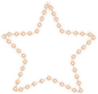 vidaXL LED-Silhouette Weihnachtsstern 48 LEDs Warmweiß 56 cm 343292