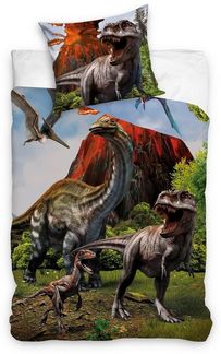 Dinosaurier Kinderbettwäsche Set für Jungen 135x200 80x80 cm mit Dinos T-Rex, Triceratops u. a. aus 100% Baumwolle