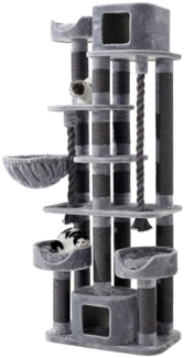 Nobby Kratzbaum "Kyla"