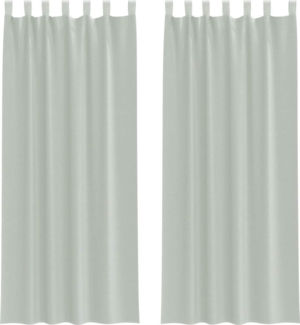 vidaXL Voile Vorhänge mit Stangentaschen 2 Stk. Hellgrau 4102210