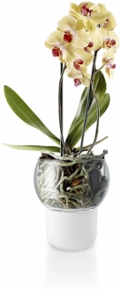 Eva Solo Orchideentopf Frosted glass 15 cm