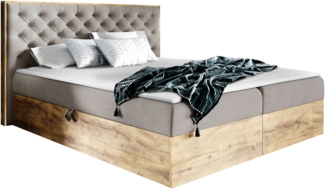 Boxspringbett Worik 3, Braun, 200x200 cm