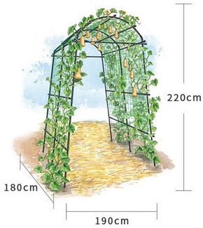 GarveeMore Pflanzentreppe Gitter für Kletterpflanzen Gartenbogen 180 x 190 x 220 cm