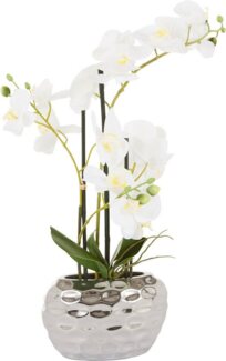 Kunstpflanze Orchidee Orchidee, Leonique, Höhe 55 cm, Kunstorchidee, im Topf, Bestseller, über 2500 4,5-Sterne-Bewertungen