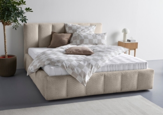 homsy by Ana Johnson Polsterbett Somny wahlweise mit Bettkasten, erhältlich in verschiedenen Breiten, luxurious gepolstertes Kopfteil und Rahmen, Bezug mit Bouclécharakter