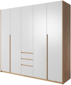 Kleiderschrank Xelo Falttürenschrank 225x60x213,5cm wildeiche gold weiß 3-türig