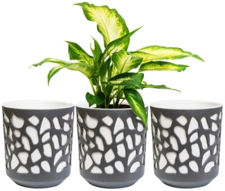 KONZEPT Blumentopf 3er Set Blumentopf klein, Übertopf Ø 14cm, Pflanzentopf für Zimmerpflanzen aus Plastik