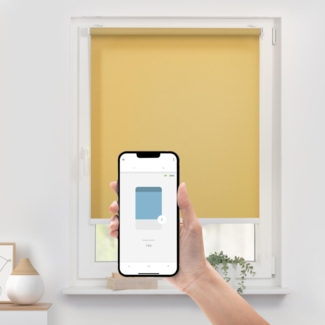 Lichtblick Bluetooth-Rollo Mailand 70 cm x 190 cm (BxL) muted sun Tageslicht; Klemm- und schraubbar; Motor per App oder manuell steuerbar