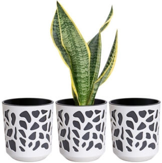 KONZEPT Blumentopf 3er Set Blumentopf klein, Übertopf Ø 14cm, Pflanzentopf für Zimmerpflanzen aus Plastik