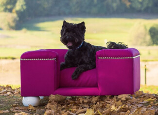 Casa Padrino Luxus Hundebett Lila / Weiß / Lila 80 x 65 x H. 37 cm - Modernes Rechteckiges Hundebett mit Kissen - Luxus Hundemöbel - Luxus Tiermöbel