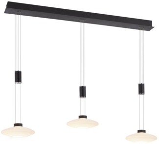 Paul Neuhaus Pendelleuchte LAUTADA, LED fest integriert, Warmweiß, LED, dimmbar, Simply Dim, Memory, nach Trennung vom Netz